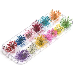 1 Box 24pcs Dried Flowers Nail Decorations Natural Floral Sunflower Daisy Stickers 3D Nail Art Designs Polish Manicure
