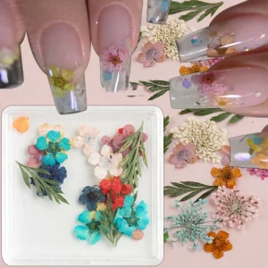 1 Jar Colorful Mixed Dry Flowers Nail Art Charms 3D Natural Floral Nails Decal Flakes Mixed DIY Manicure Decor Dried Flower