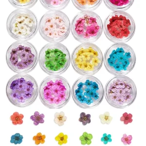 10Pcs Real Dried Flowers Nail Art Decoration DIY Dry Narcissus Dry Flower UV Gel Wheel Nail Art Rhinestone Manicure Supplies