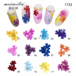 12 Colors Dried Real Flowers Nail Art Decoration Nail Art