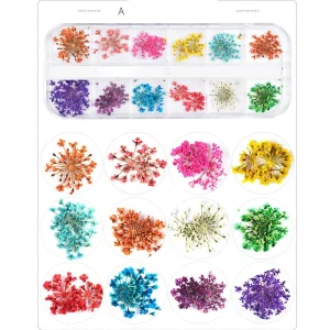 12 Colors Nail Art Decorations Natural Dried Flower for UV Gel Acrylic
