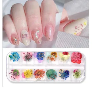 12 Grid 3D Mix Dry Dried Flowers Floral Leaves Mini Real Natural DIY Nail Art Decoration for UV Gel Polish