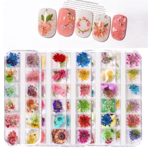12 Grid Dried Flower 3D Nail Art Decoration for Nail Art Design Accessories Manicure Tools