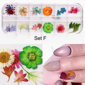 12 Types Nail Art 3D Natural Dry Flower Professional Nail Stickers for Nail Art Decoration