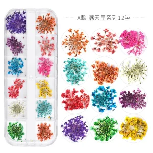 12-color French Style Waterproof Shiny Thin Dried Flowers for Nail Art Mini Real Flower 3D Decal Nail Decor Stickers