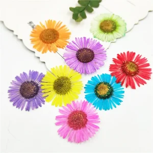 12PCS Bag Pressed Small Daisy Dried Flower for DIY Nail Art Decoration Resin Mold Making DIY Crafts Art