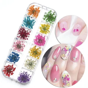 12pcs Box 3D DIY Dried Flowers Nail Art Decorations Real Dried Flower Stickers Manicure Charms Designs Nails Accessories