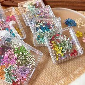 1box Mixed 3D Dried Flowers Nail Art Decorations Dry Floral Bloom Stickers DIY Manicure Charms Designs for Nails Accessories