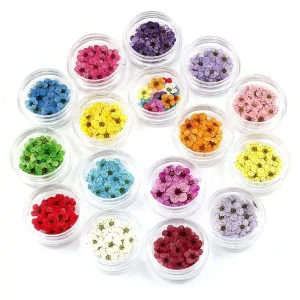 20pcs/box Nail Art Flower Decoration 3D Dried Flower Nail Art Decorations Exquisite Nail Art Beauty for Charms Accessories