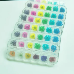 2D Nail Art Pressed Dry Flowers Resin Nature Inspired Design for Nail Decor