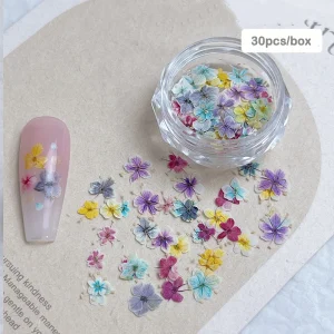 30pcs Box Nail Art Dry Flower Petal Decoration Mixed Color Natural Flower Nail Accessories Real Mini Flower for Manicure
