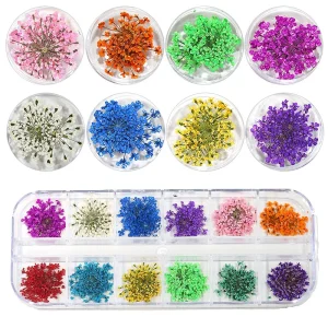 3D 12 Box Flower Pressed Dry Flower Nail Art DIY Natural True Dry Flower Nail Decoration Nail Art