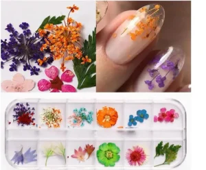 3D Decoration Natural Dried Flowers Nail Art