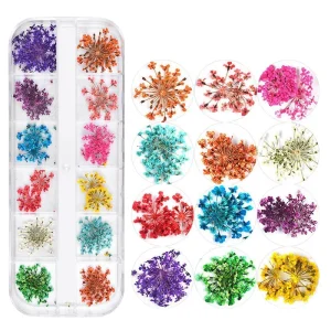 3D Dried Flower Nail Art Decorations Real Mini Dried Flower Stickers Natural Floral Symbol Designs DIY Nail Art Decorations