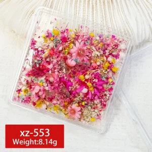 3D Nail Sticker Manicure With Clear Box Packing Nail Art Decoration Natural False Dry Flower Nail Art Decoration