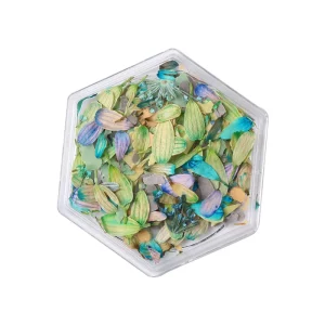 3D Natural Dried Flowers Nail Art Decorations Real Flower Stickers DIY Manicure Charms Designs Box Packaging for Nails