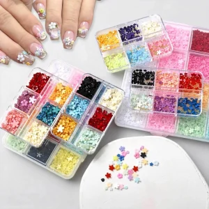 6 12 24 Grids Box Resin Manicure Nail Charms Five Petal Nail Art Jewelry with Gold Ball Accessories DIY Nail Art Decoration