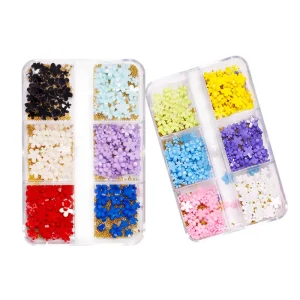 6 Grids Box Packing Nail 3D Resin Flower Design Nail Art Charms Decoration Flowers for Nails