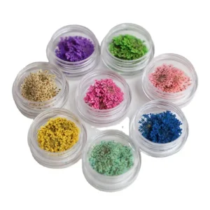 8 Colors Boxed Charms 3D Nail Art Decoration Dry Flower for Art Nail