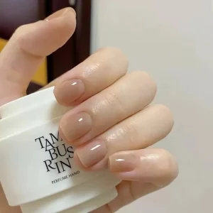 CF039 Transparent Fancy Stiletto French Tip Press on ABS Nails Private Label for Special Occasions Design Finger