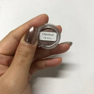 Chestnut Nails Mirror Powder Platinum Rub Dust Pigment Nail Glitter Powder Manicure Decor CB 61XS
