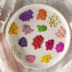 Colorful Real Natural Dried Flowers Nails Art Sticker Nail Decoration