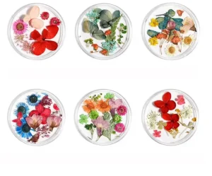 DIY Dried Flowers Nail Sticker Art 12 Colors Nail Art Stickers Decals 3D Mini Real Natural Flower Decoration