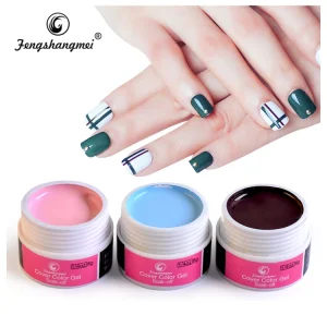 Fengshangmei Brand Professional Nail Gel Products Gel Nail Polish Painting Gel