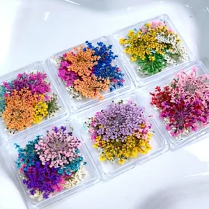 Ins Fresh Nail Art Decoration Mixed Natural Lace Dried Flower DIY Basic Packaging