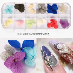 Japanese Nail Dried Flower 12 color Star Sunflower Daisy 12 color Dried Flower Boxed 24 Nail Dried Flowers