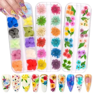 LN D209 3D Dried Flower Nail Art Decoration Pressed Dry Flower Sticker & Decal
