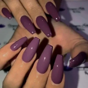 Manufacture Long Glossy Full Color Stiletto False Nails Fake Nails False Nails