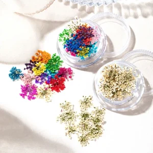 Mini Dry Flower Nail Ornaments Nail Art Decoration Nail Charms 3D Natural Real Flowers Customizable Logo Guangdong Made