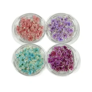 Mini Natural Dry Flower Nail Ornaments 3D Dried Flowers DIY Nail Art Pressed Small Floral 20pcs Jar