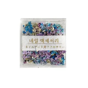 Multi Color Natural Dry Flower Nail Art DIY Decoration Manicure Mini Flower Square Box Real Flower Nail Accessories