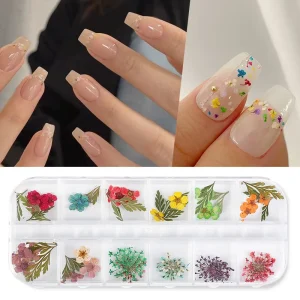 Nail Art DIY Decoration 12 Colors Small Plum Petal Accessory Dry Flower Nail Stickers Decals Plastic Fashion Design