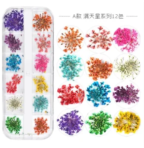 Nail Art Decoration Preserved Mixed Dried Flower Manicure Decoration Tips 12 Lattice Plate Mounted Nail Decorative Dry Flower
