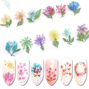 Nail Art Nature Pressed Dry Flower Dried Flowers Nail Art Decoration