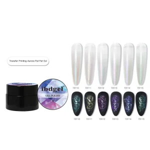 Nail Art Stamping Gel Paint OEM UV GEL Custom Logo Transfer Printing Aurora Pat Pat Gel For Ombre Nails Nail Painting