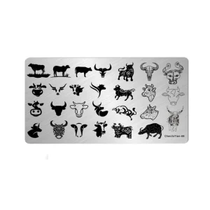 Nail Art Template Stamping Plate UV Gel Nail Accessories Manicure Tools