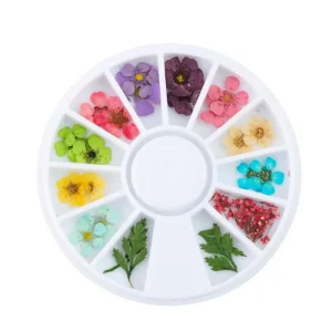 Natural Dried Flower Nail Art Manicure Tips 3D Decoration Nail Art Dried Flowers