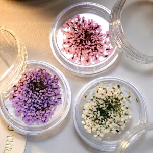 Natural Dried Flowers Nail Art Accessories 3D Dried Flowers Nail Art Decorations