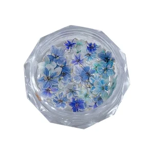New Style 3D Natural Flower Nail Art Mini Dried Flowers Box Packed Decoration