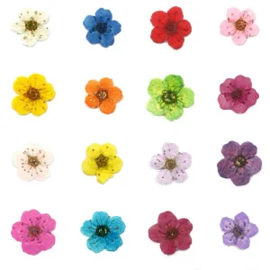 OEM 20pcs Natural Pressed Dry Flowers 3D Nail Art DIY Metal Charms Private Logo Real Dried Flower Nails