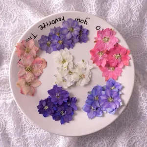 Real Dried Flower Natural Dry Nail Sticker Art Nail Decoration