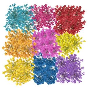 Real Dried Flower Natural Dry for Nails Stickers Art Nail Decoration