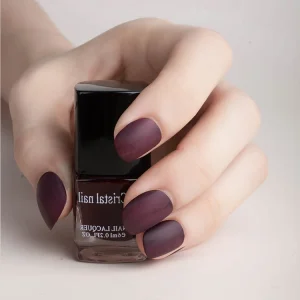 Sample Free Global Fashion Private Label Long Lasting Nail Art Matte Nail Polish