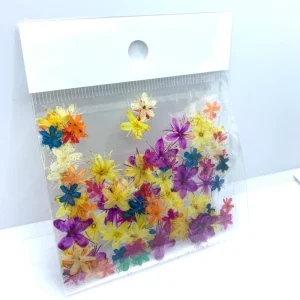 Summer Low Moq Colorful Nail Decoration 3D Real Natural Dried Flowers Nail Art Sticker for Nails